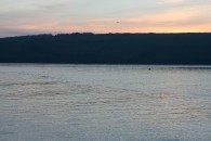 img_1911