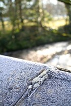 img_6206