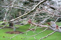 img_6216