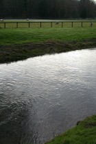 img_6217