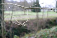 img_6225