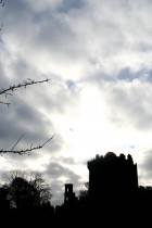 img_6231