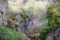 img_6247