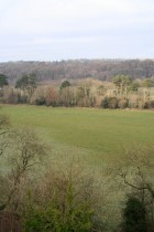 img_6258