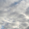 img_6263