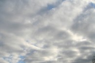 img_6263