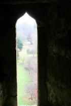 img_6268