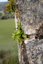 img_6275
