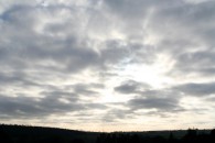 img_6278