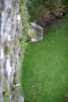 img_6293