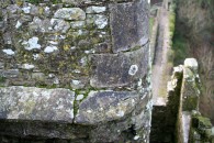 img_6294