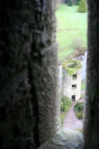 img_6296