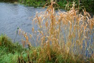 img_6302