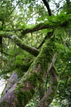 img_6306