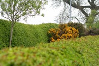 img_7609