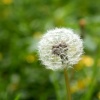 img_7686