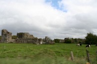 img_7867