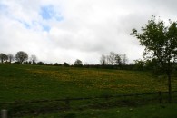 img_7873