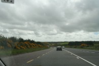 img_7874