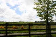 img_7876
