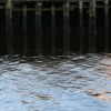 img_7987