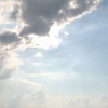 img_8241