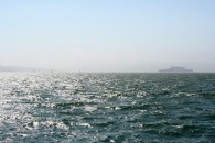 img_8337