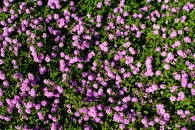 img_8377