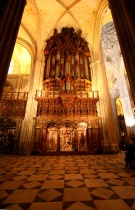 img_8716