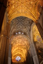img_8718