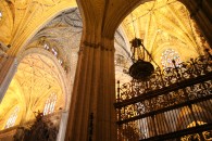 img_8723