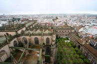 img_8745