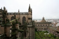 img_8764