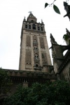 img_8768