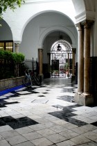 img_8788