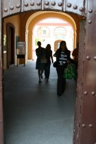 img_8888 img_8888