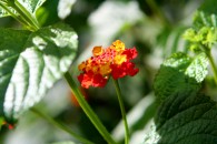 img_8889 img_8889