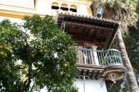 img_8891 img_8891