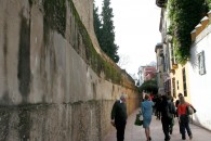 img_8893 img_8893