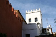 img_8896 img_8896