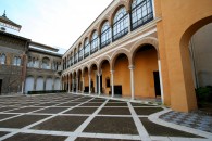 img_8906 img_8906