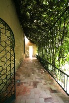 img_8955 img_8955