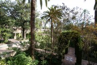 img_8963 img_8963