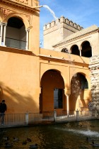 img_8971 img_8971