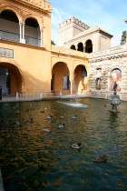 img_8977 img_8977