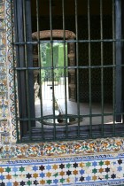img_8985 img_8985