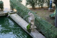 img_8988 img_8988