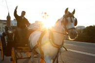 img_9019 img_9019