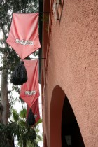 img_9495 img_9495