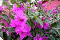 img_9498 img_9498